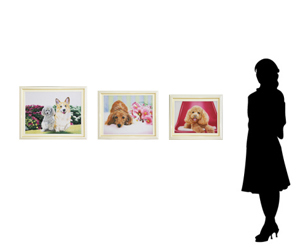 壁の3枚の絵画を見る女性